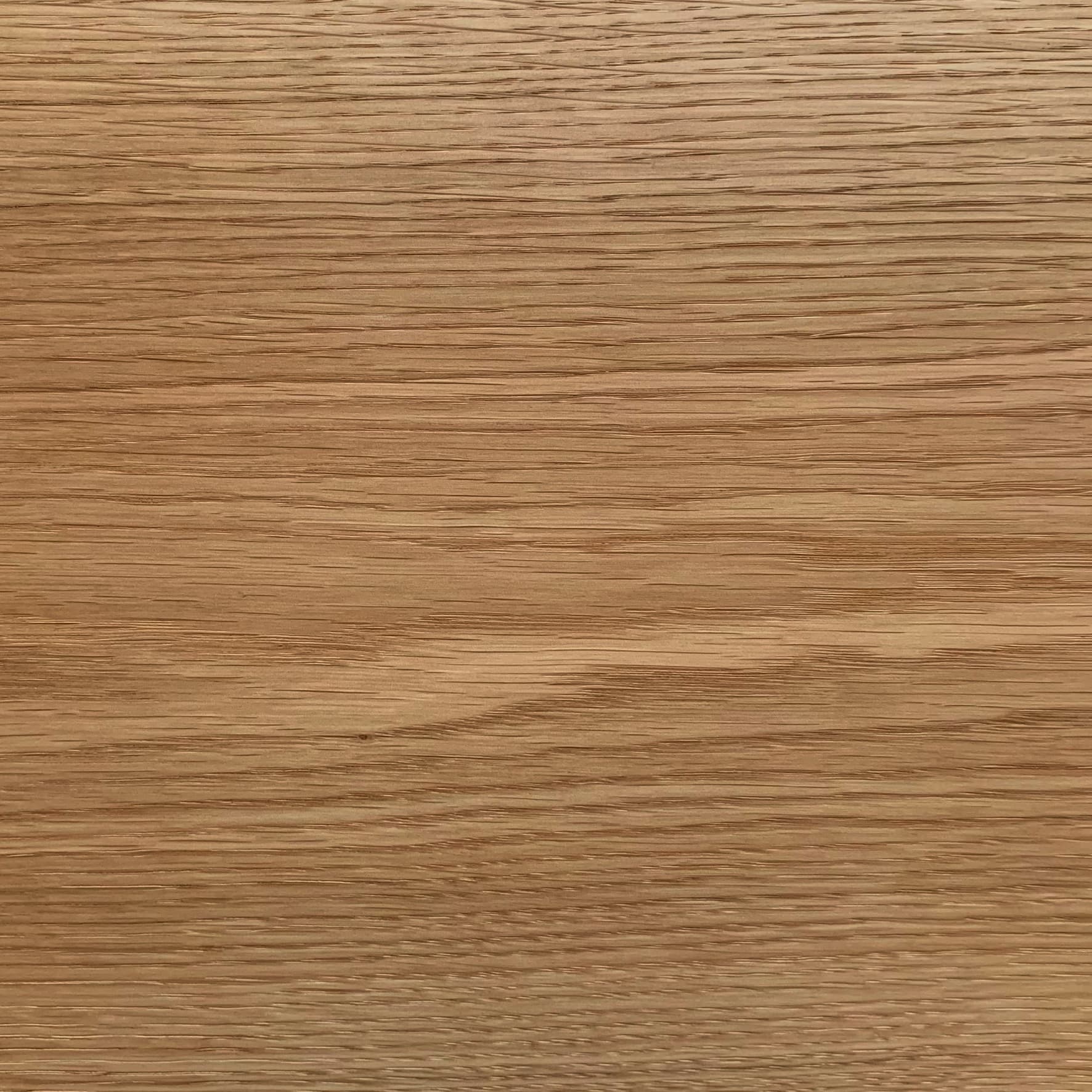 European Oak Macro Texture
