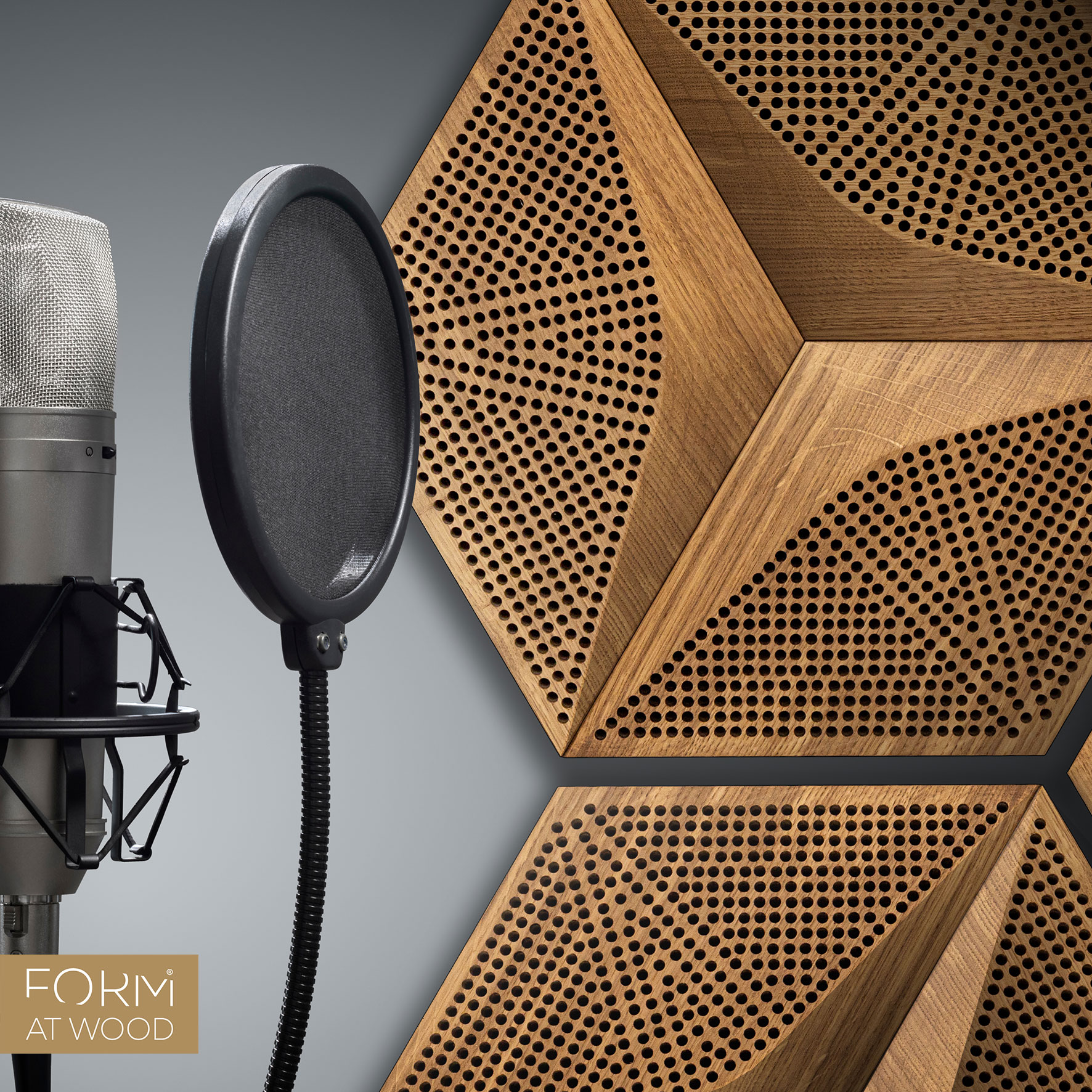 Akustik Wandpaneel aus Holz im Studio mit Mikrofon